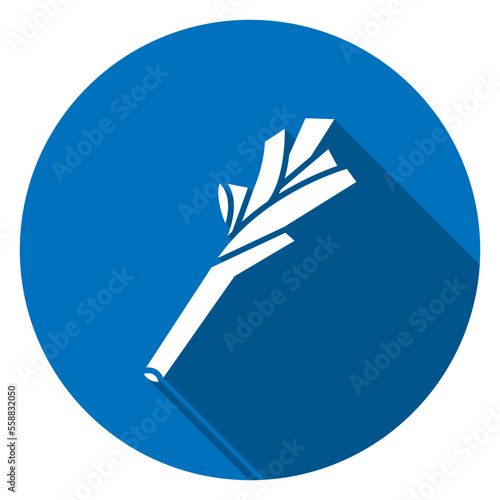 leek onion icon