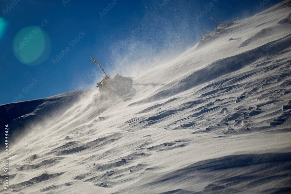 Snow texture. Strong wind in Carpathian mountains in winter on a sunny day. Wind sculpted patterns on snow surface Snow texture. Strong wind in Carpathian mountains in winter on a sunny day. Wind sculpted patterns on snow surface