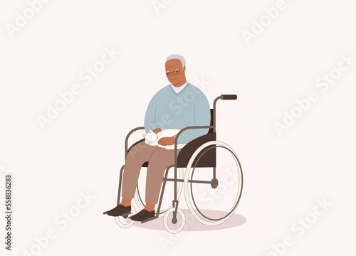 White Cat Sitting On A Smiling Disabled Black Senior Man’s Lap With Wheelchair. Full Length. Flat Design Style, Character, Cartoon.