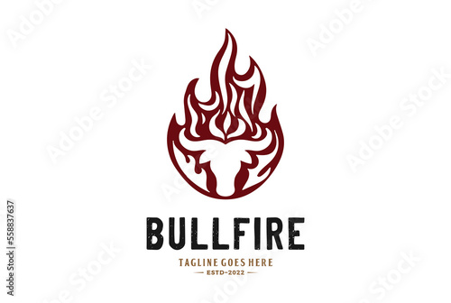 Vintage Burn Flame Fire with Angus Cow Bull Bison Longhorn Buffalo Head for BBQ Grill Logo