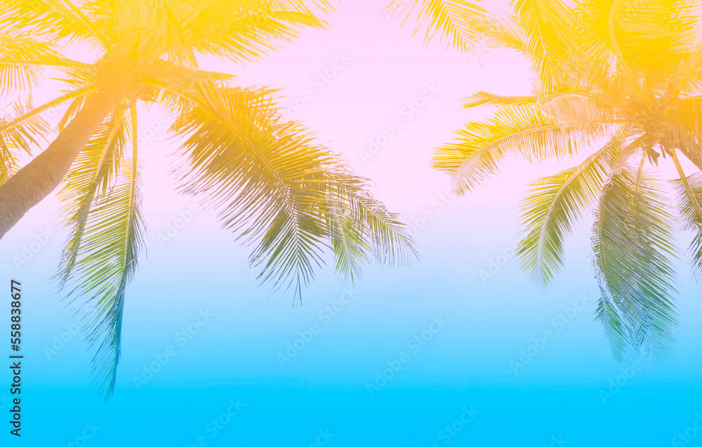 The holiday of Summer with colorful theme as palm trees background as texture frame background