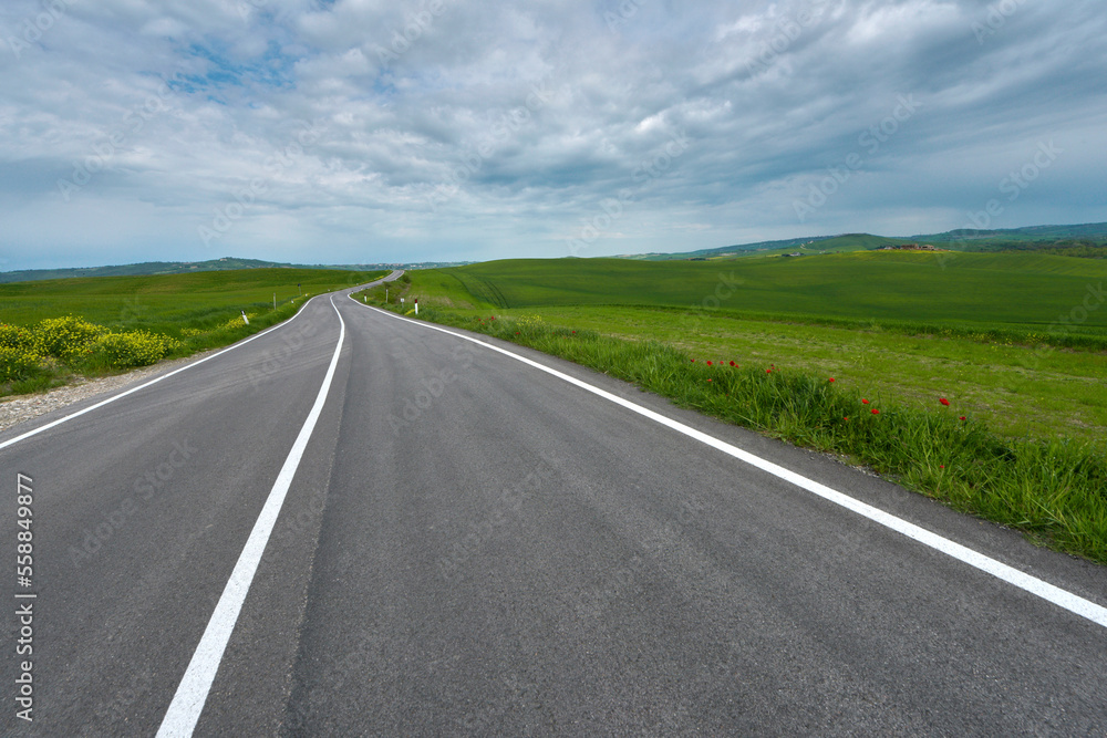 Naklejka premium Asphalt road amidst the green hills of Tuscany, Italy