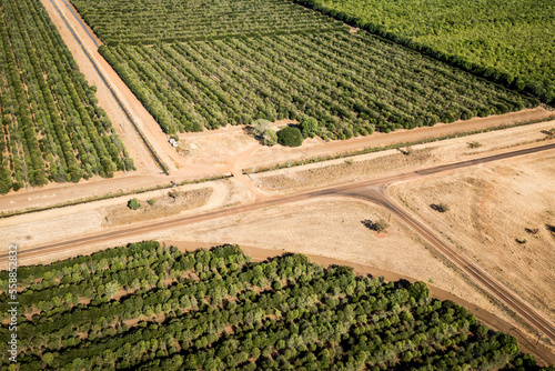 Roads dividing paddocks of trees Kununurra