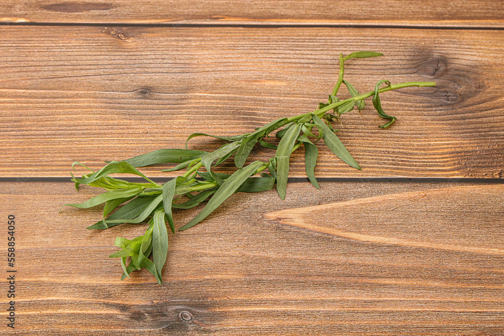 Green tarragon herb spice for cooking Green tarragon herb spice for cooking