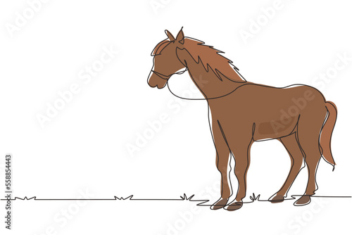 Continuous one line drawing horse standing still not moving watching. Strong character. Equestrian ranch field. Horse racing symbol, equestrian sport. Single line design vector graphic illustration