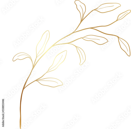 Gold leaf branch illustration