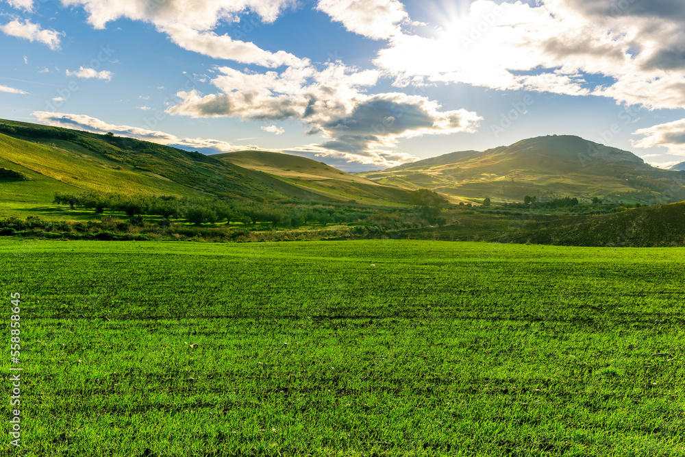 Scenic view at beautiful spring sunset in a green shiny field with green grass and golden sun rays, deep blue cloudy sky on a background , forest and country road, summer valley landscape Scenic view at beautiful spring sunset in a green shiny field with green grass and golden sun rays, deep blue cloudy sky on a background , forest and country road, summer valley landscape