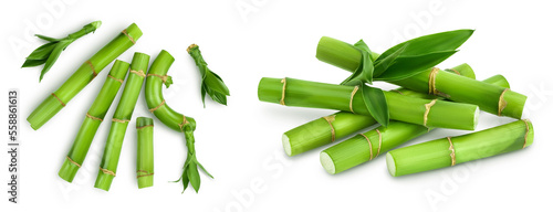 Green bamboo with leaves isolated on white background with full depth of field. Top view. Flat lay