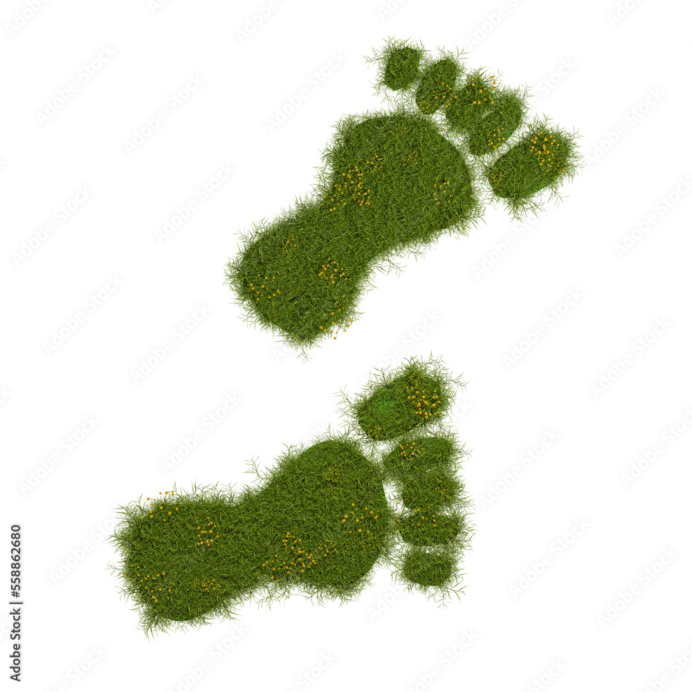 3d render of an ecological footprint, grassy footprint on a white background 3d render of an ecological footprint, grassy footprint on a white background