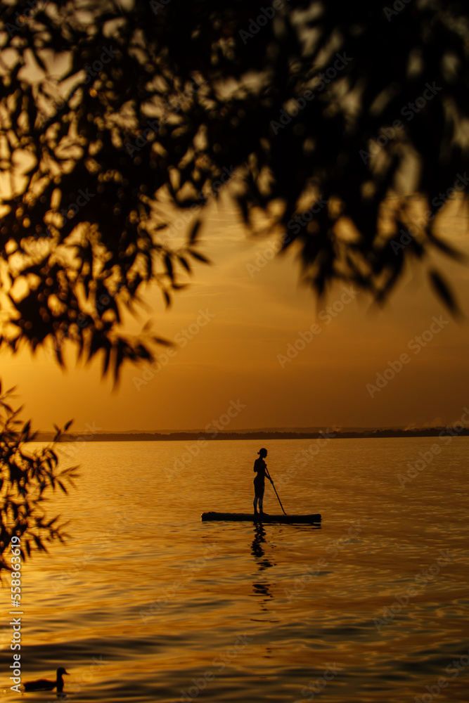 The silhouette of a slender woman. The girl on the sapboard