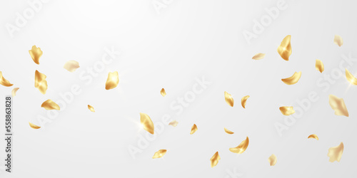 elegant golden flower petals design background vector illustration