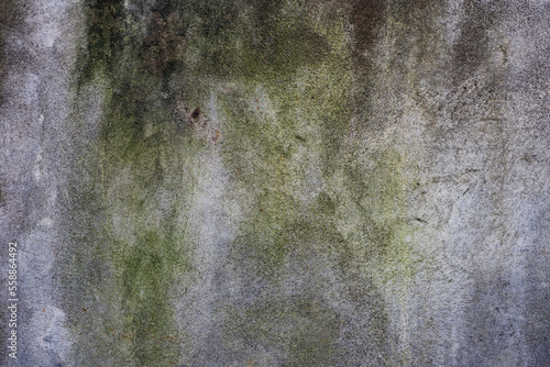 close up of grungy concrete wall. photo