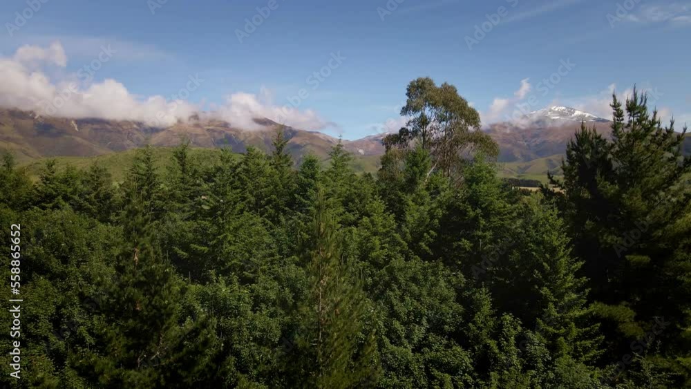 Aerial jib up revealing mountains behind trees and few farm buildings Aerial jib up revealing mountains behind trees and few farm buildings