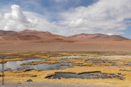 Quepiaco river wetland Atacama Desert Chile