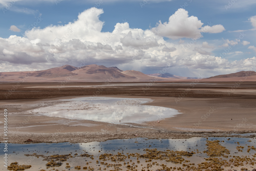 Quepiaco river wetland Atacama Desert Chile