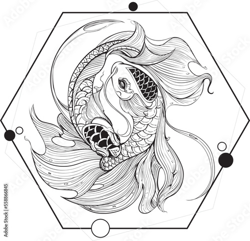 Pisces sign design vector illustration.