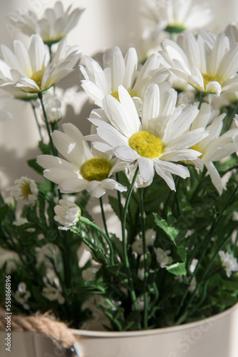 Bouquet of white chrysanthemums on a white wooden background. Sunlight and shadow.