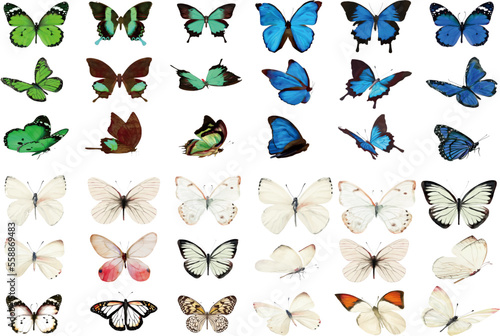 Watercolor butterflies illustration, EPS easy to use