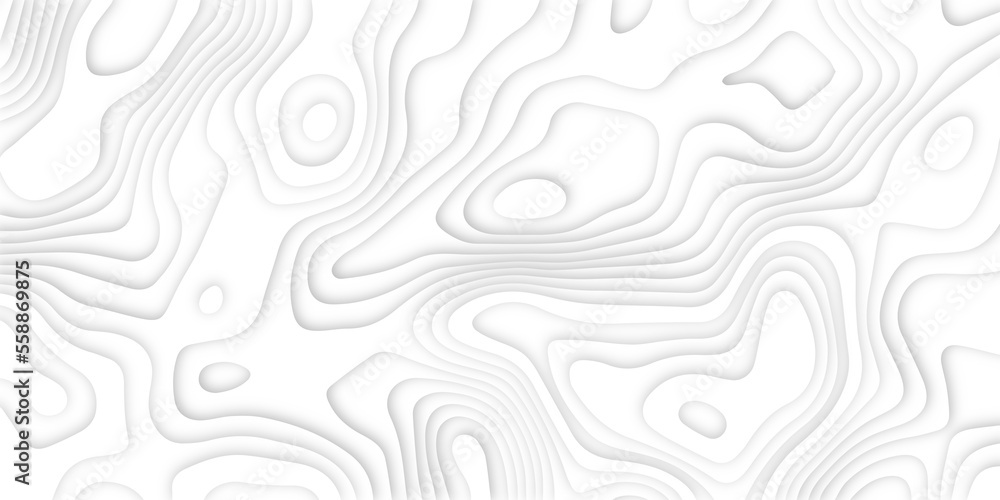 Abstract wavy line 3d paper cut white background. Topographic canyon geometric map relief texture with curved layers and shadow. Abstract realistic papercut decoration textured with wavy layers Abstract wavy line 3d paper cut white background. Topographic canyon geometric map relief texture with curved layers and shadow. Abstract realistic papercut decoration textured with wavy layers