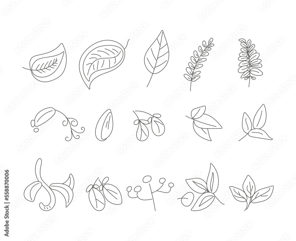 set of leaves vector isolated outline illustration set of leaves vector isolated outline illustration