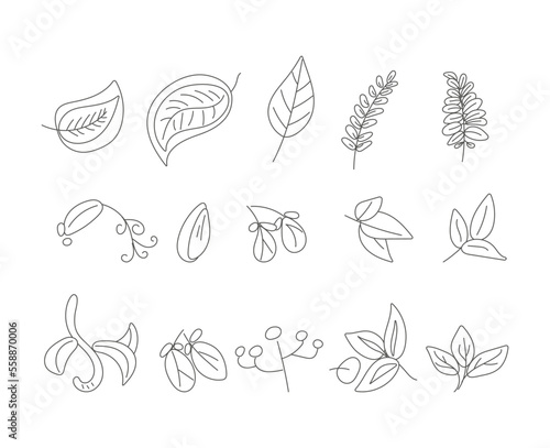 set of leaves vector isolated outline illustration