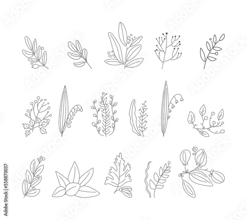set of leaves, branches, flowers vector isolated outline illustration