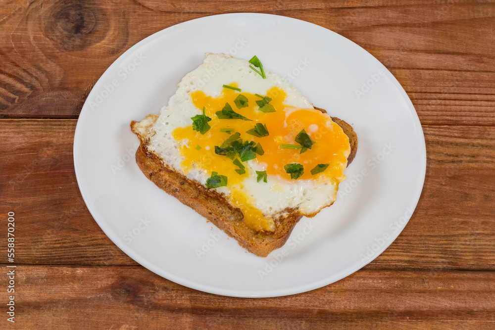 Open sandwich with fried egg on a white dish Open sandwich with fried egg on a white dish