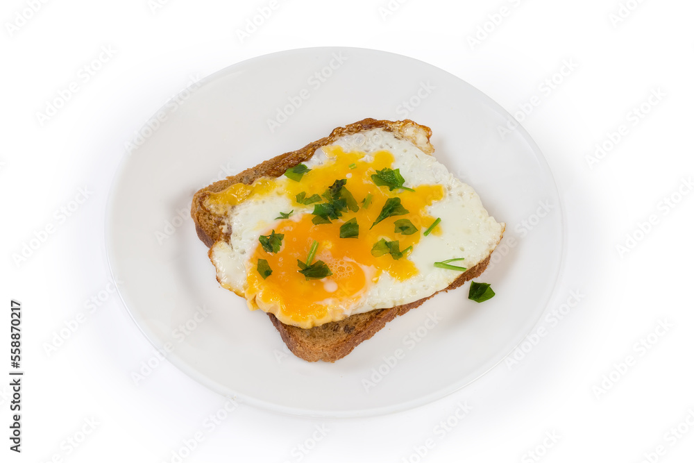 Open sandwich with fried egg on a white dish