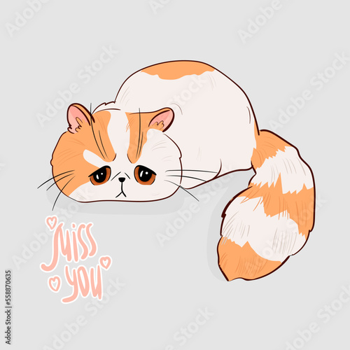 Vector illustration of a sad cat on a light background