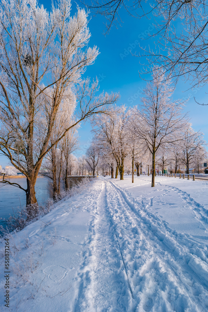 Fototapeta premium View over city park with icy trees and snow during sunrise in the morning with warm illumination and blue sky, Magdeburg, Germany.
