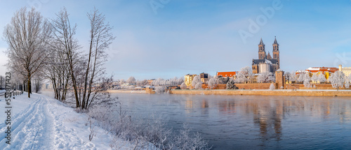 Fototapeta Naklejka Na Ścianę i Meble -  Panoramic view over Magdeburg historical downtown in Winter with icy trees and snow during sunrise in the morning with warm illumination and blue sky, Germany.