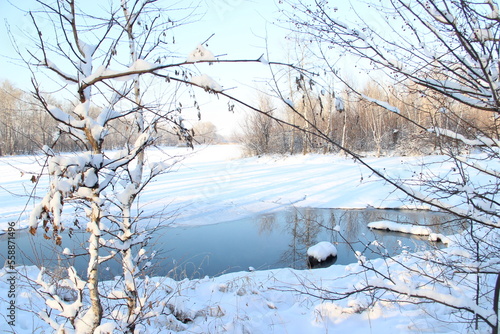 reflection of te trees  on the lake in winter