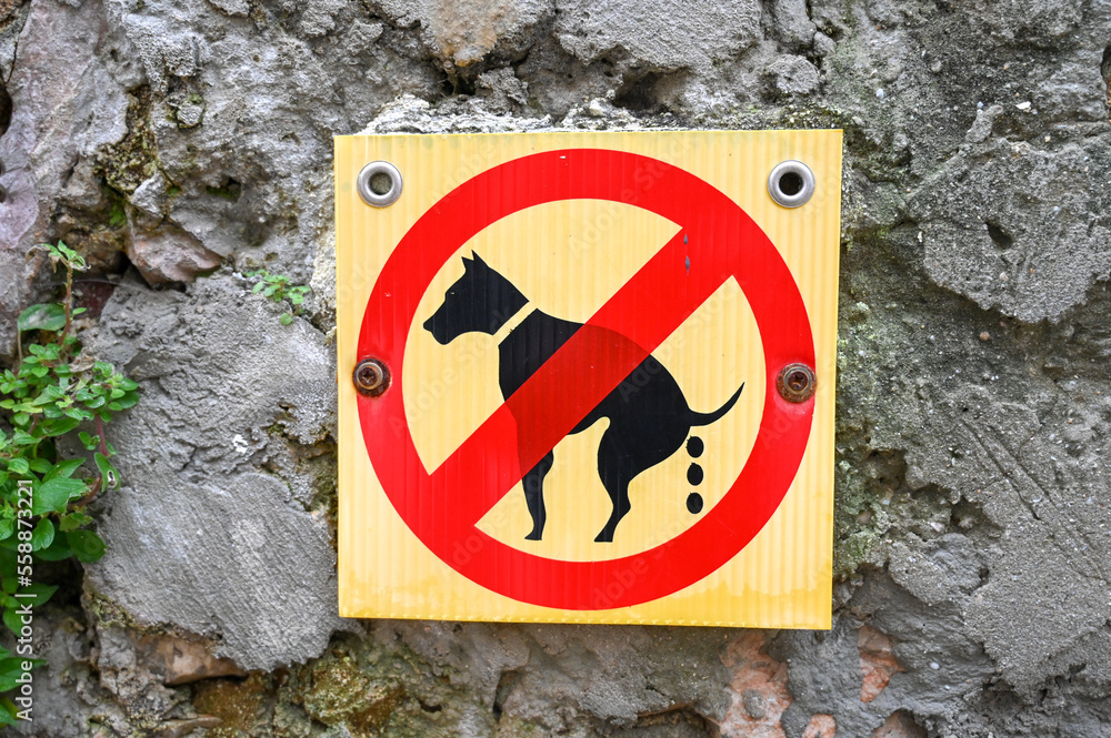 No Dog Pooping Sign Prohibition Sign On The Street Sign For Dog no-dog-pooping-sign-prohibition-sign-on-the-street-sign-for-dog