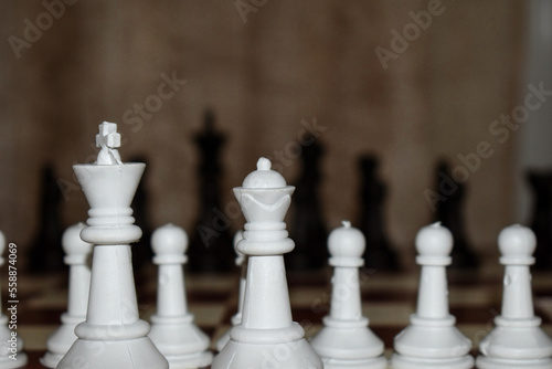 chess pieces on the board