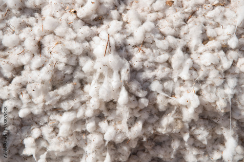 Detail of a cotton bale near Lubbock, Texas. photo