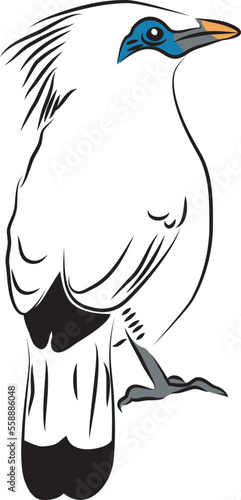 bali myna - vector illustration