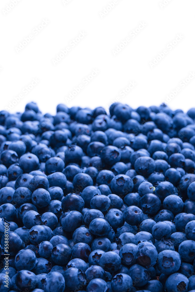 Fresh blueberry background. Texture blueberry berries close up. Fresh blueberry background. Texture blueberry berries close up.