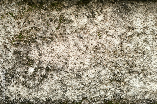 rough cement concrete textured background