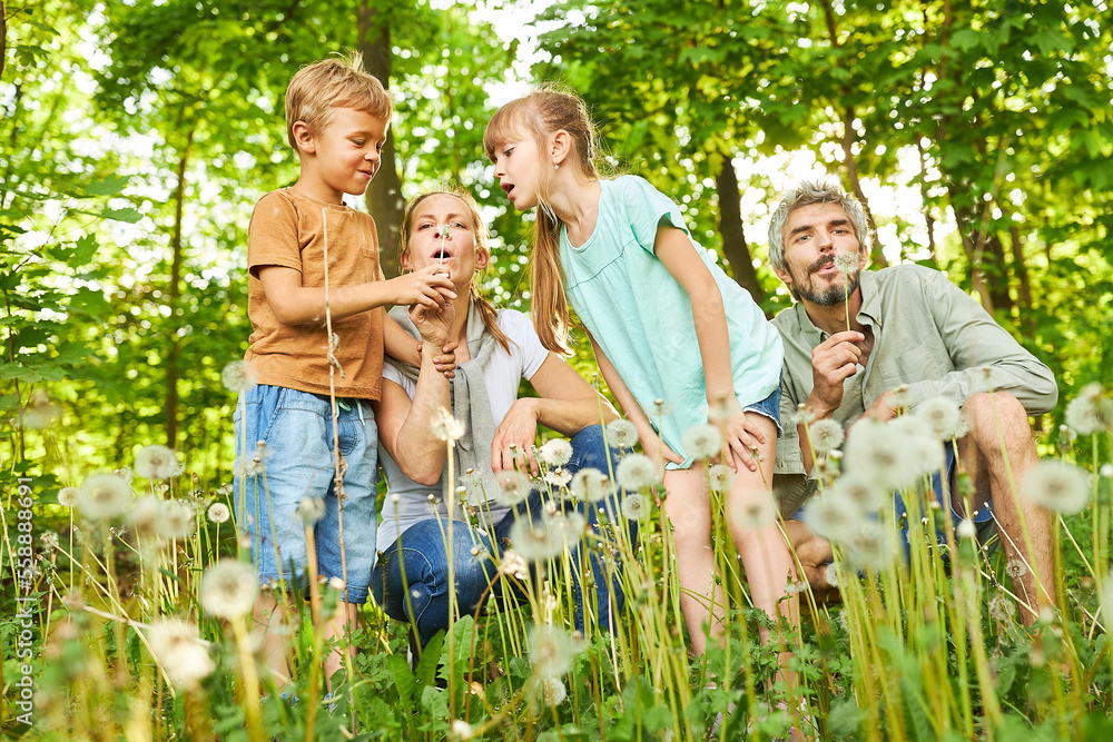Fototapeta premium Family blowing dandelion with parents during summer trip