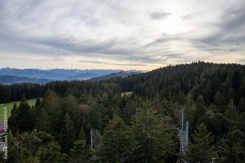 Ausblick auf die Allgäuer Alpen