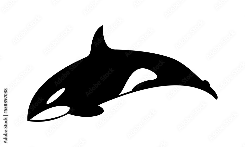 Obraz premium orca killer whale vector logo