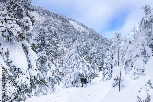 雪の北八ヶ岳 縞枯山スノーハイク © Umibozze