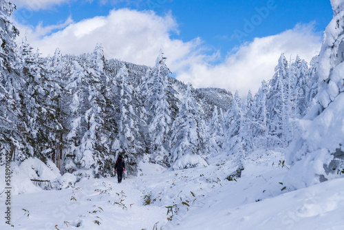 雪の北八ヶ岳 縞枯山スノーハイク © Umibozze