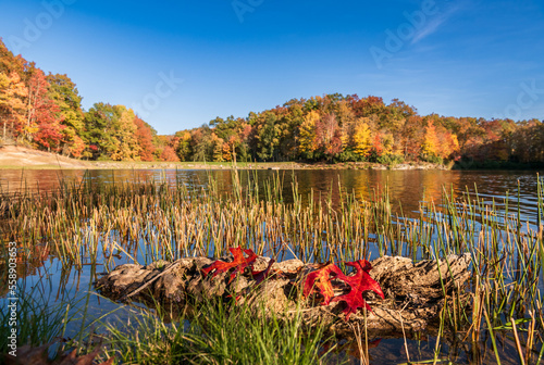 An autumn scene at Boley Lake. Fall is just one of the beautiful seasons to visit this pristine mountain top lake.  Boley Lake is located within Babcock State Park (Fayette County) in West Virginia.