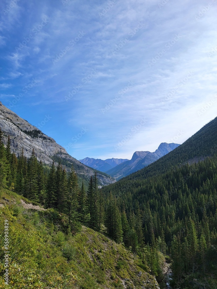 Obraz premium waterfall in the mountain