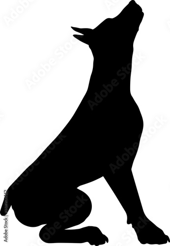 Dog Silhouette Pet Animal