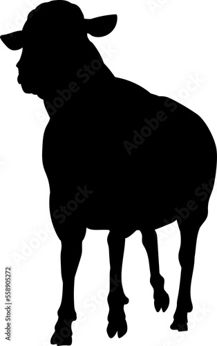 Sheep or Lamb Farm Animal i...