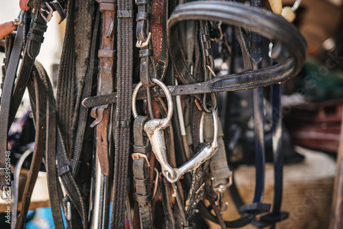 Many leather horse bridles hanging near stables, closeup detail
