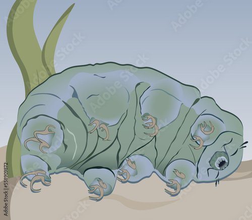 A cute funny cartoon tardigrade (water bear) squinted and sleeps on the sand near seaweed, an incredible microscopic creature, hardy and tenacious, vector image, illustration, cute children s picture 