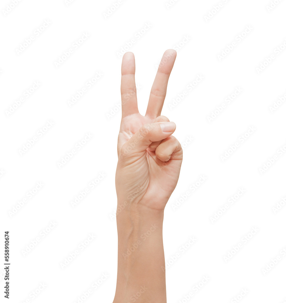 Woman palm hand, victory sign, two fingers pointing upwards, isolated on white background with clipping path Woman palm hand, victory sign, two fingers pointing upwards, isolated on white background with clipping path